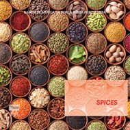 Banda de Música da Força Aérea Portuguesa - Spices