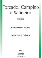 Forcado, Campino e Salineiro