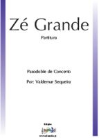 Zé Grande